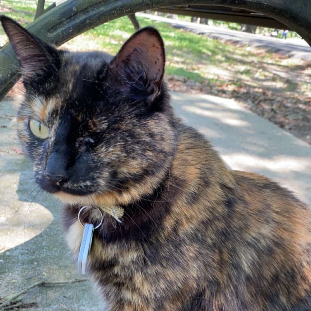 Meet your Posher, Emma